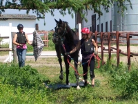 Lehrgang VFD-Übungsleiterassistent 